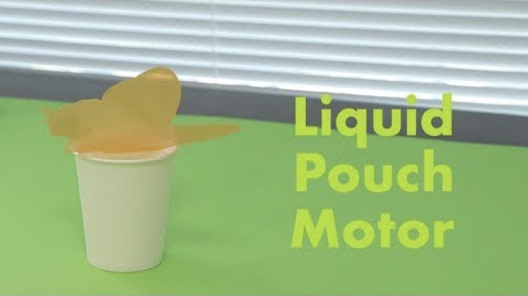 Liquid Pouch Motor