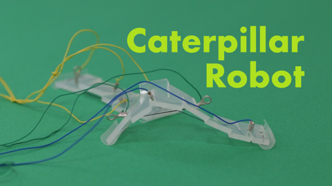 Caterpillar Robot with SMA muscle wires